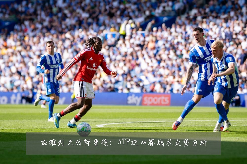 兹维列夫对阵鲁德:ATP巡回赛战术走势分析